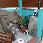 Exclusive House