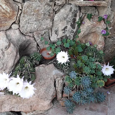 Exclusive House * Cala Gonone