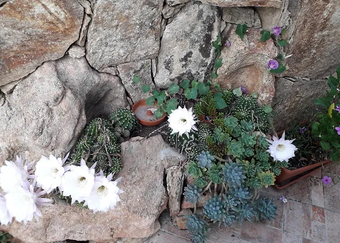 Exclusive House * Cala Gonone